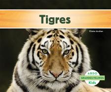 Tigres